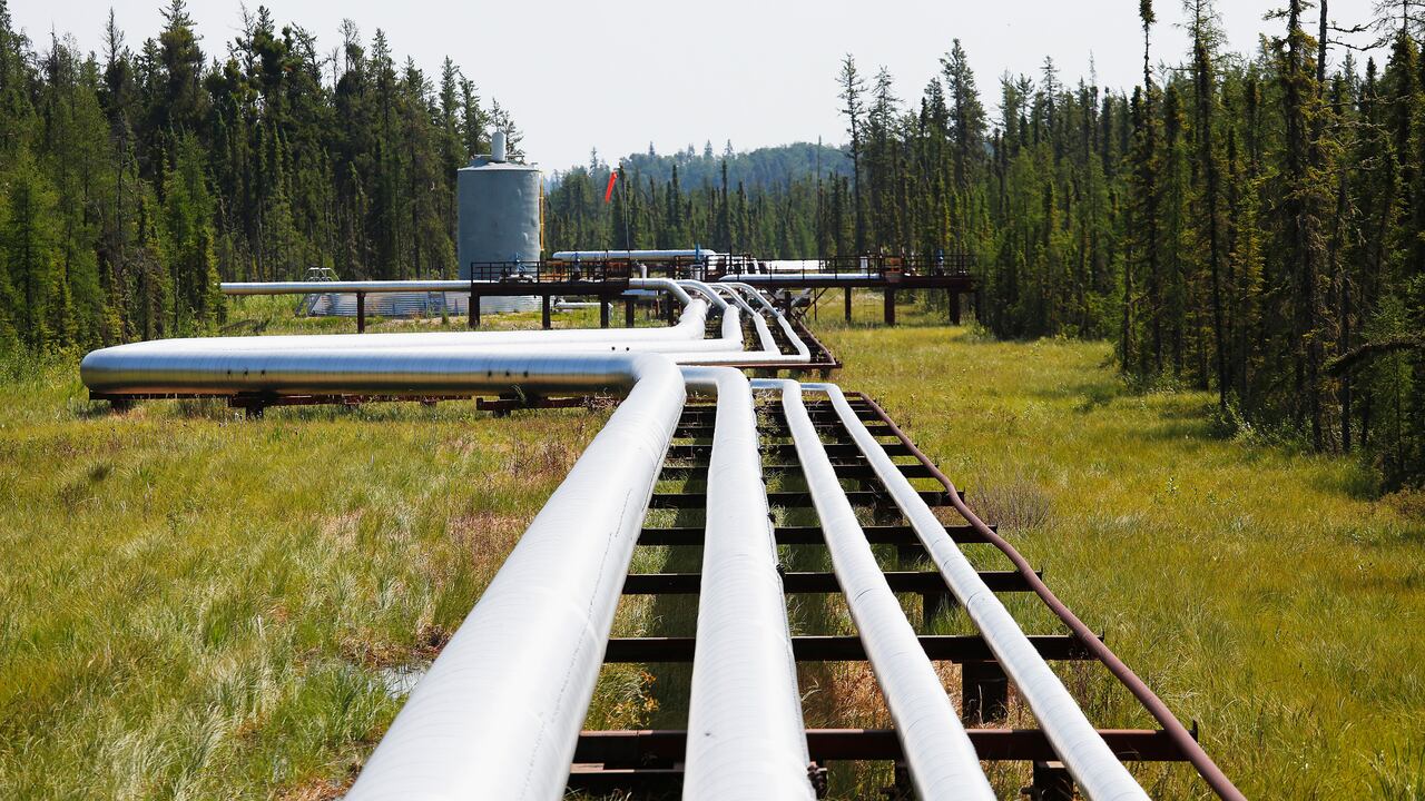 Oil and gas pipelines running through a forested site
